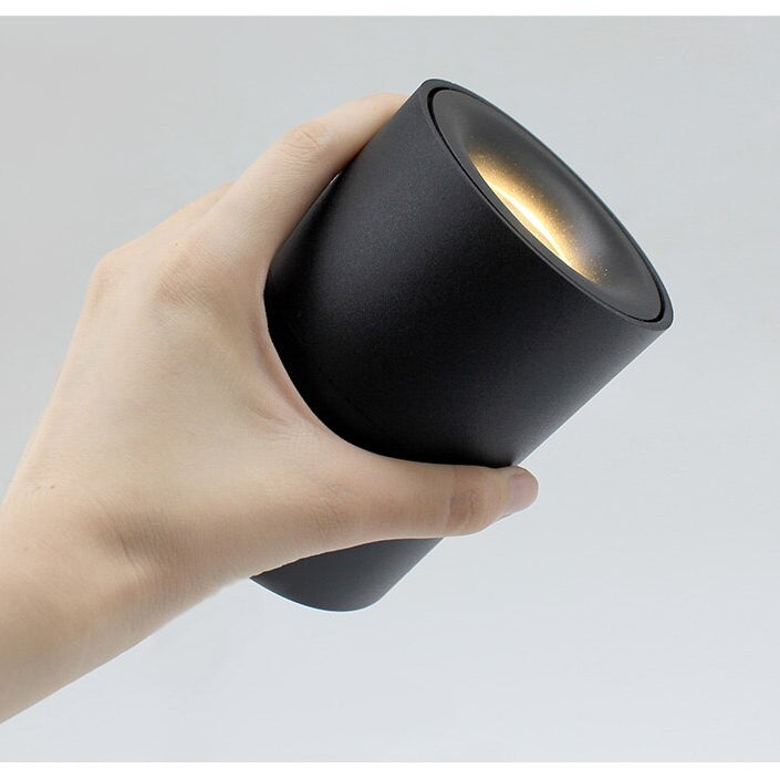 Lily’s Led Ceiling Light Surface Mounted With 360° Round Curve Rotation