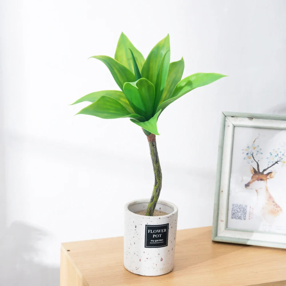 Dlight Decor Agave Succulent Plant for Home and Balcony Display