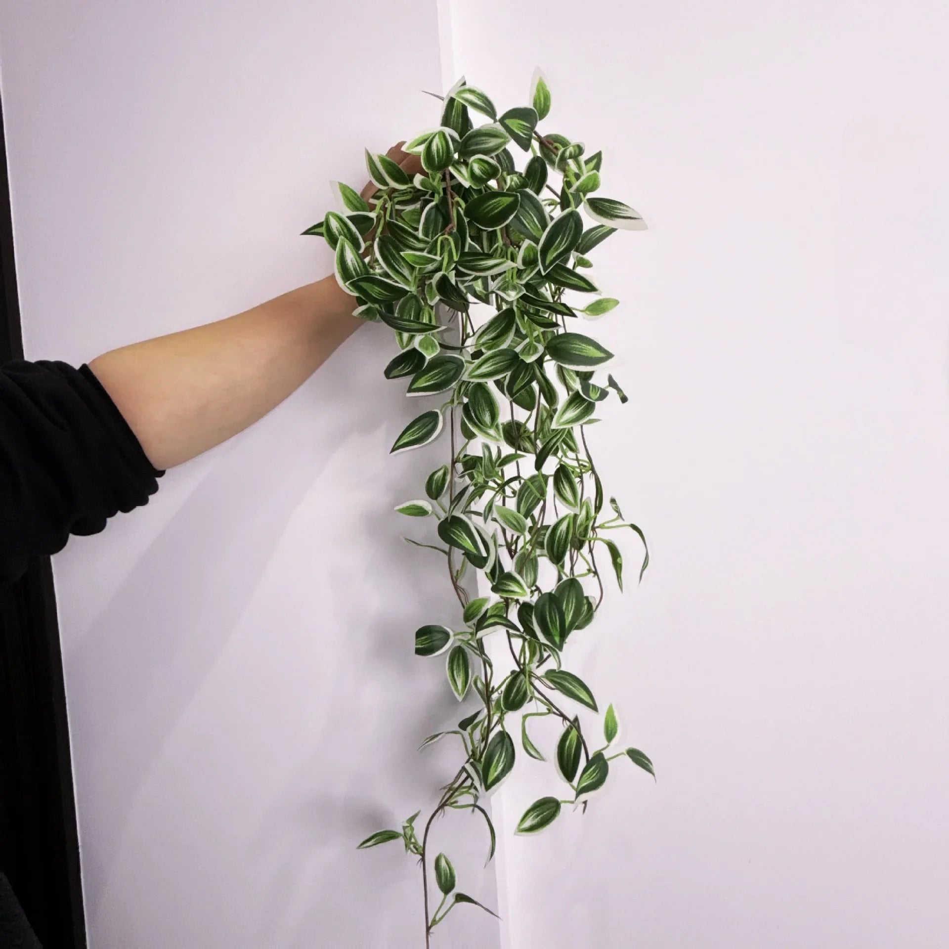 Dlight Decor 75cm Hanging Eucalyptus Vine with Scindapsus Leaves 75cm green