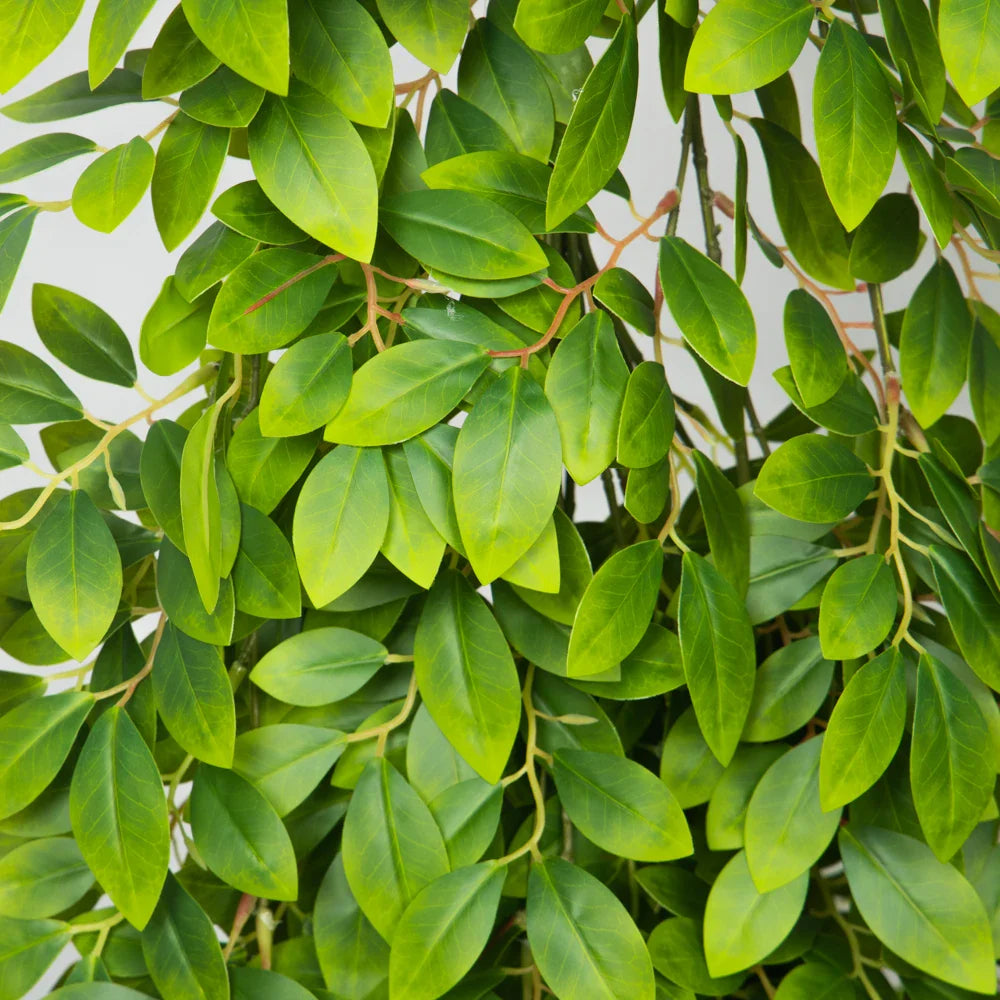 Dlight Decor Hanging Vines for Elegant Wall Display