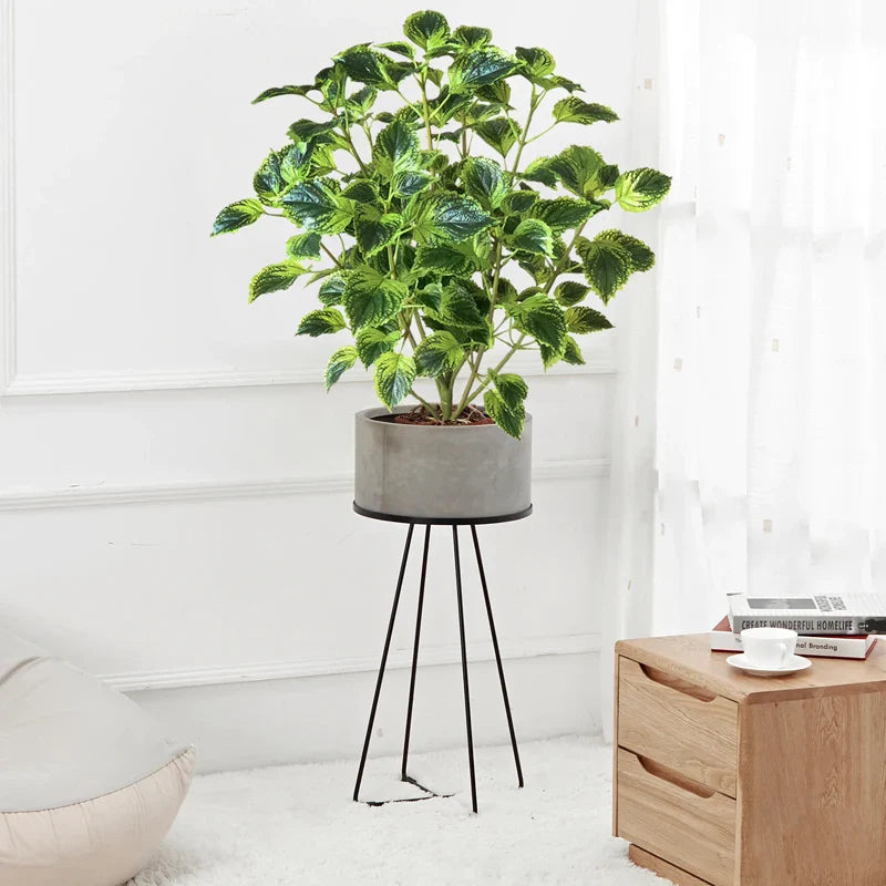 Dlight Decor Eucalyptus Tree for Tropical Indoor Floor Styling