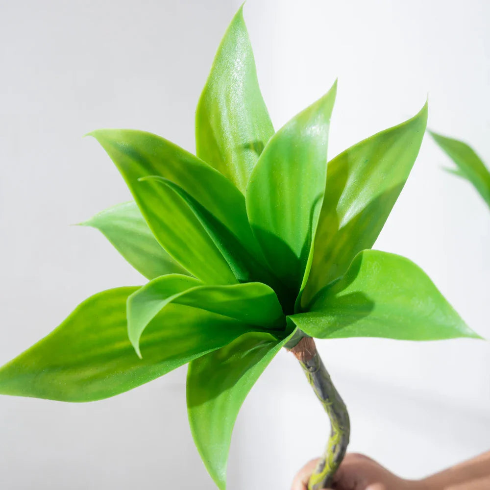 Dlight Decor Agave Succulent Plant for Home and Balcony Display