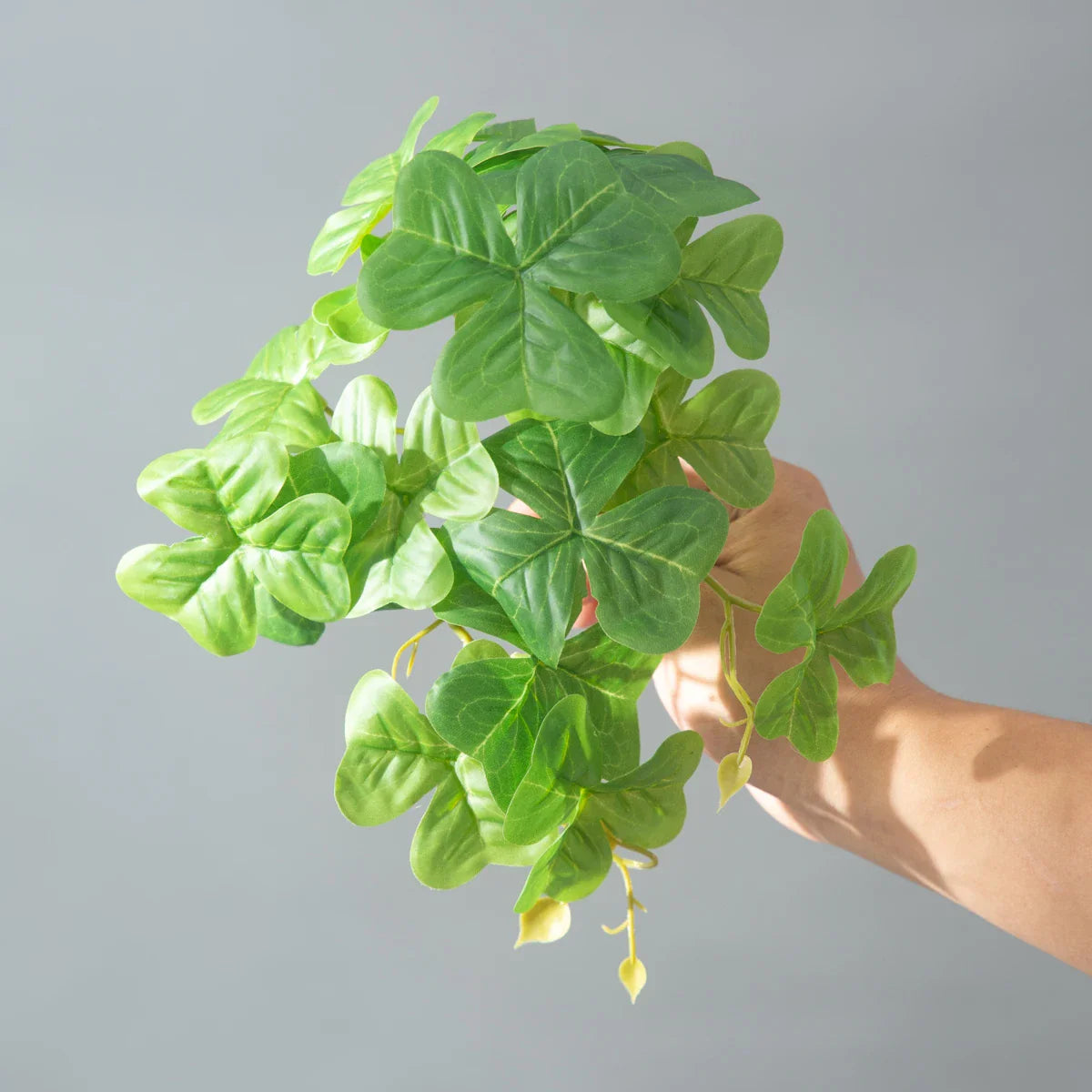 Dlight Decor 25cm Monstera Leaf Vine for Desktop and Holiday Decor E