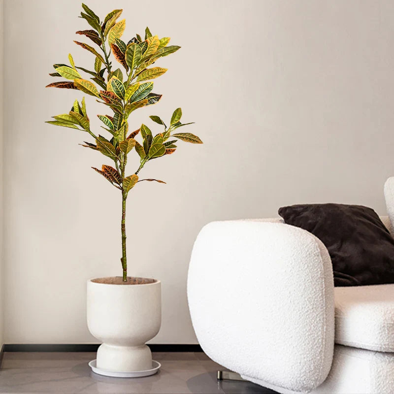 Dlight Decor Codiaeum Ficus Tree for Tropical Indoor Floor Decor