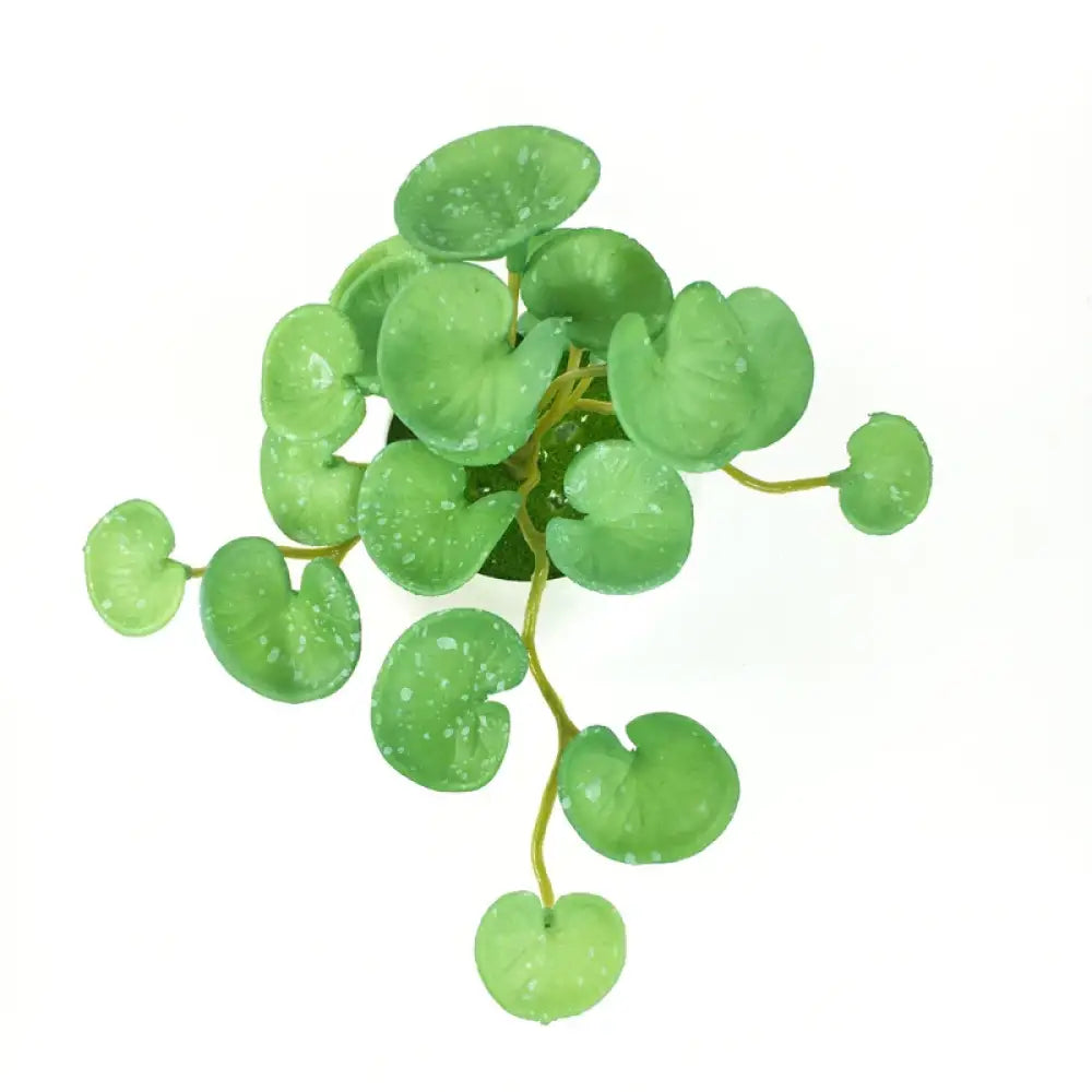 Dlight Decor 15cm Lucky Grass Foliage Bouquet for Home and Bonsai Decor Baidian Tongqian