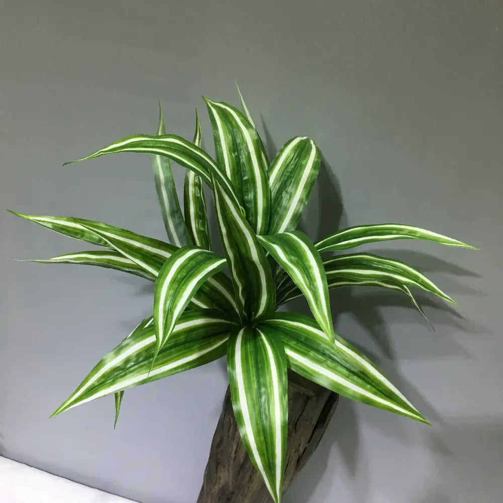 Dlight Decor Aloe Leaf Plant for Fresh Indoor Outdoor Style B