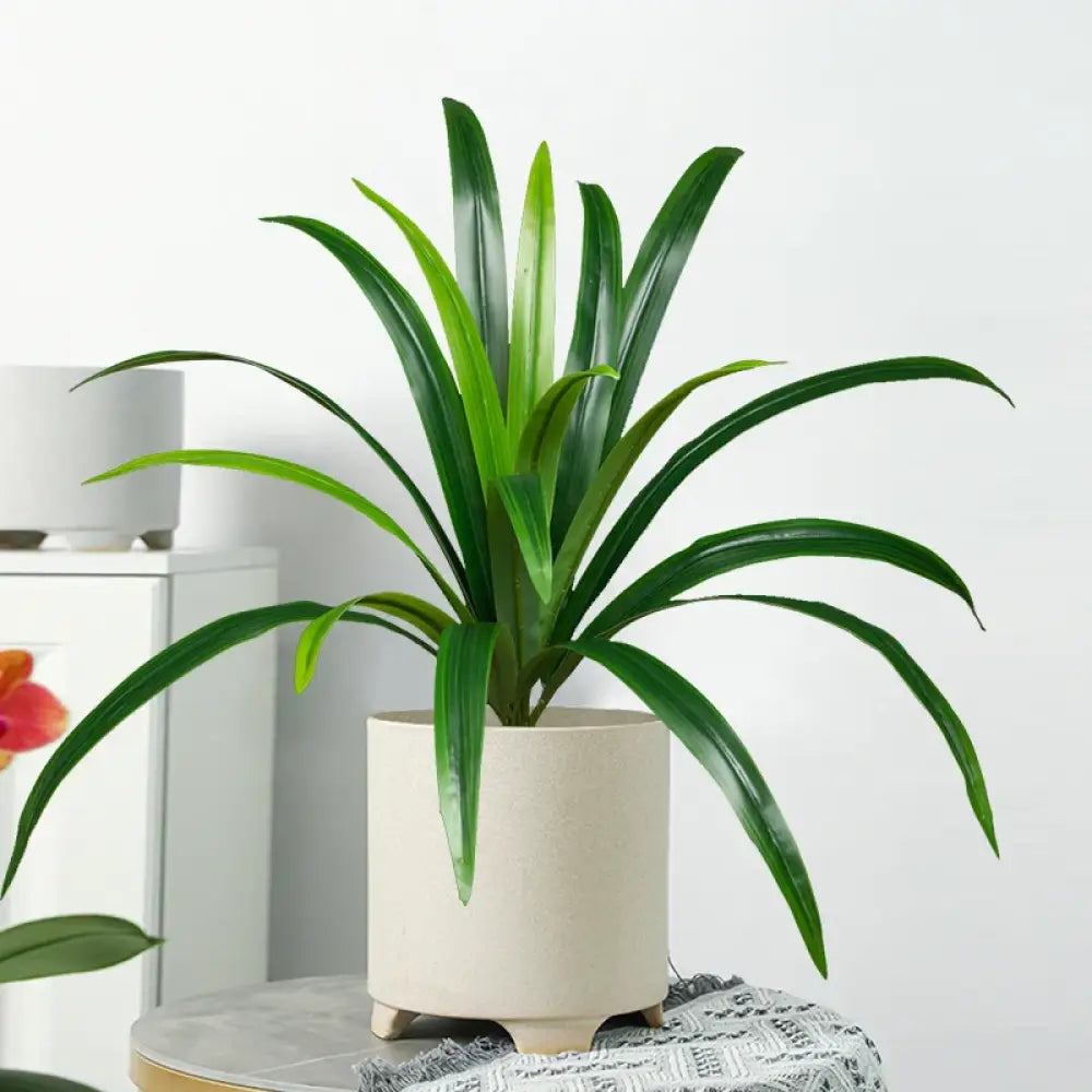 Dlight Decor Bracketplant Palm for Home and Garden Display
