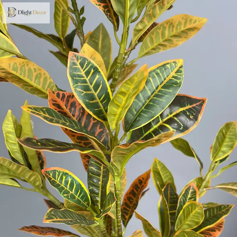 Dlight Decor Codiaeum Ficus Tree for Tropical Indoor Floor Decor