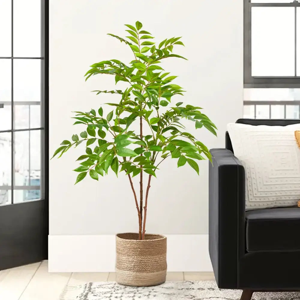 Dlight Decor Ficus Tree for Lush Indoor Outdoor Styling