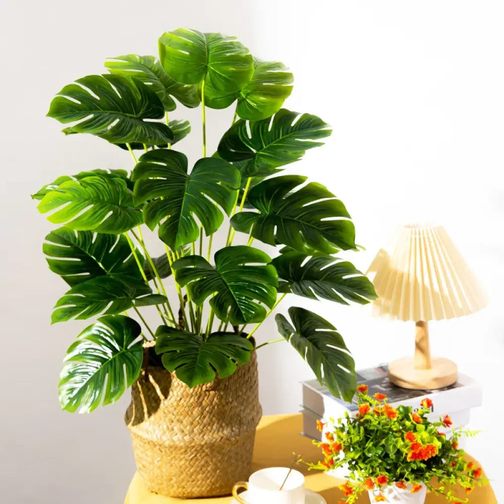 Dlight Decor Monstera Palm Plant for Home and Outdoor Styling A