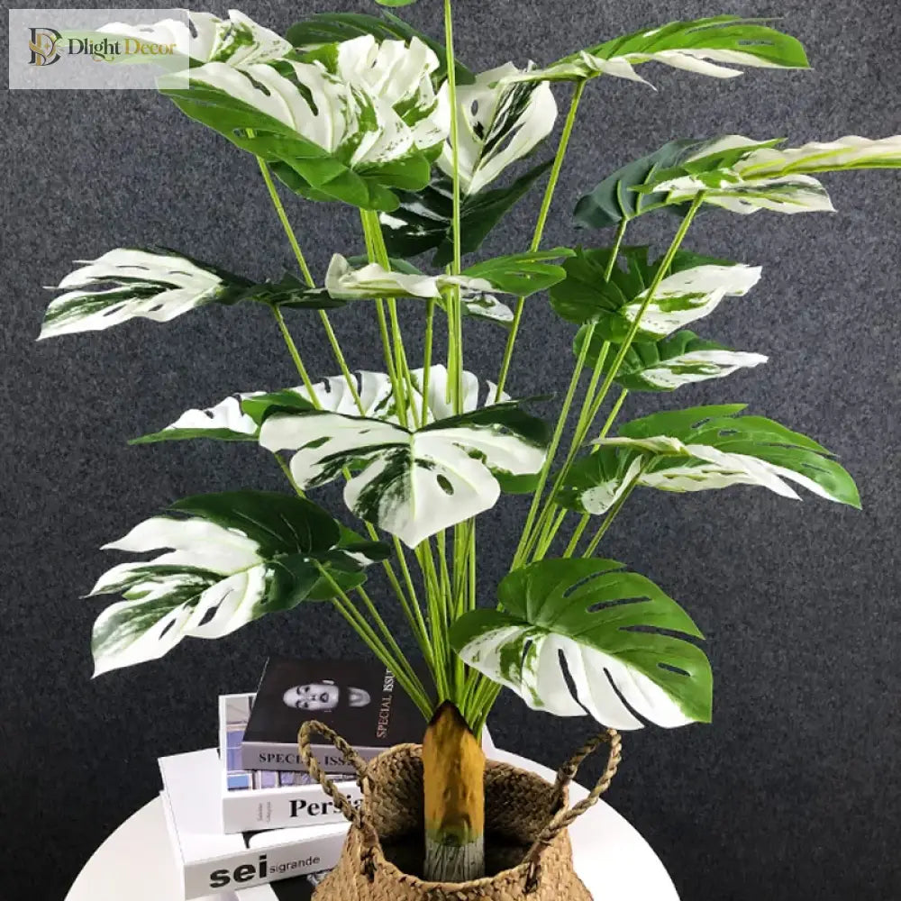 Dlight Decor Monstera Turtle Leaf Plant for Indoor and Garden Display