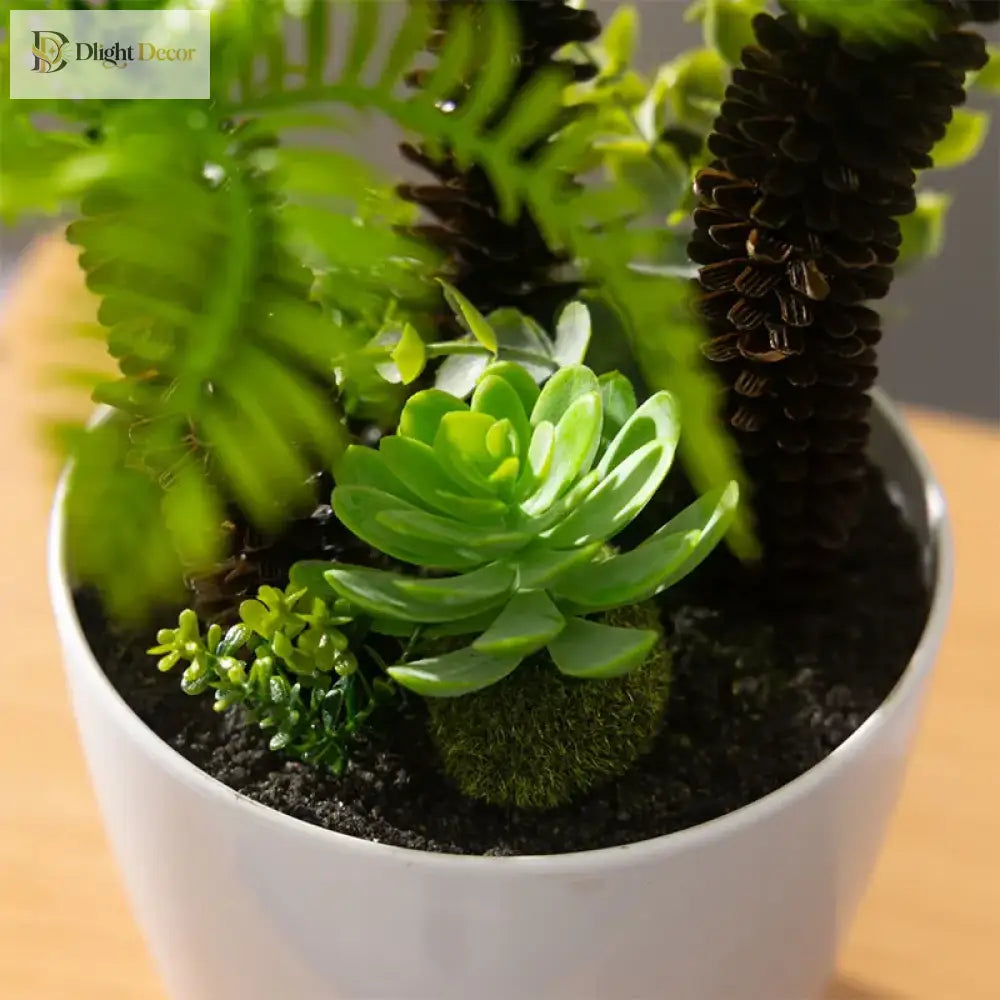 Dlight Decor Potted Palm Plant 33cm or 40cm with Succulents