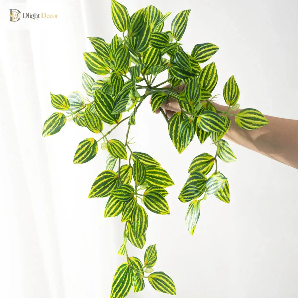 Dlight Decor Scindapsus Vine for Wall Hanging and Garden Styling