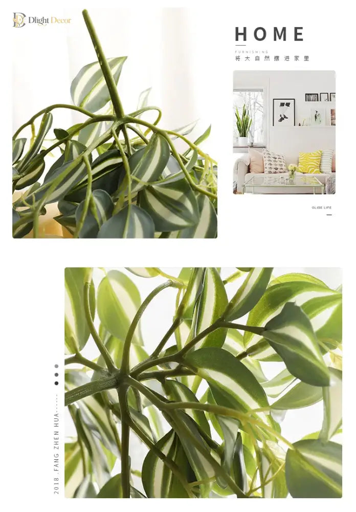 Dlight Decor Scindapsus Vine for Wall Hanging and Garden Styling