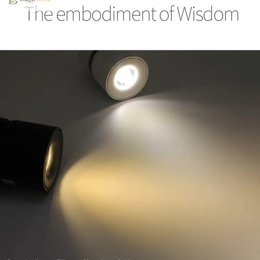 Lily’s Led Ceiling Light Surface Mounted With 360° Round Curve Rotation