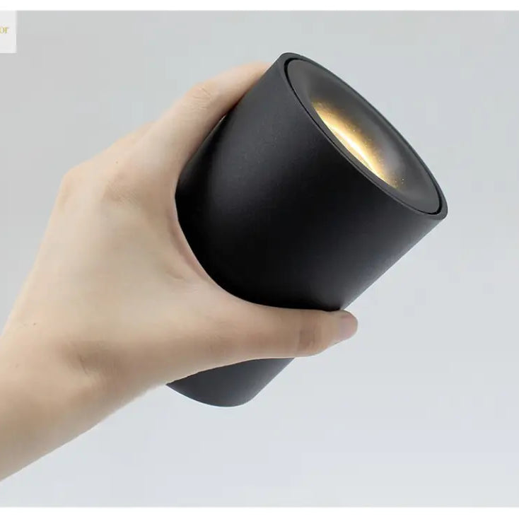 Lily’s Led Ceiling Light Surface Mounted With 360° Round Curve Rotation