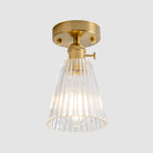 Industrial Chic Meets Modern Versatility: The Clear Glass Single - Light Gold Ceiling Light