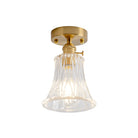 Industrial Chic Meets Modern Versatility: The Clear Glass Single - Light Gold Ceiling Light