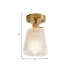 Industrial Chic Meets Modern Versatility: The Clear Glass Single - Light Gold Ceiling Light