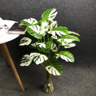 Dlight Decor White Monstera Palm for Bold Floor Styling