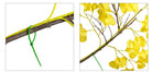 Dlight Decor Ginkgo Branches for Elegant Floral Styling