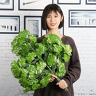 Dlight Decor Ginkgo Branches for Elegant Floral Styling