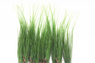 Dlight Decor Onion Grass Bunch for Natural Green Wall and Home Decor