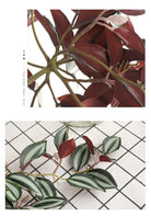 Dlight Decor Scindapsus Vine for Wall Hanging and Garden Styling