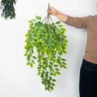 Dlight Decor Hanging Vines for Elegant Wall Display