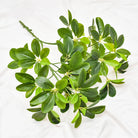 Dlight Decor 73cm Tropical Ficus Palm Tree Branch with Monstera Leaves