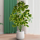 Dlight Decor Palm Plant for Natural Indoor Outdoor Charm