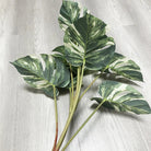 Dlight Decor 90cm Monstera Branch with Tropical Turtle Leaves A