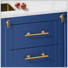 Modern T-Bar Cabinet Knobs and Handles – Sleek and Decorative Design Handles