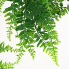 Dlight Decor 175cm Tropical Fern Vine Hanging Plant for Home and Garden Wall Decor