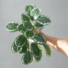 Dlight Decor 25cm Monstera Leaf Vine for Desktop and Holiday Decor A