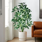 Dlight Decor Palm Plant for Natural Indoor Outdoor Charm