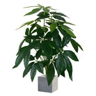 Dlight Decor Monstera Tree for Lush Indoor Outdoor Vibe
