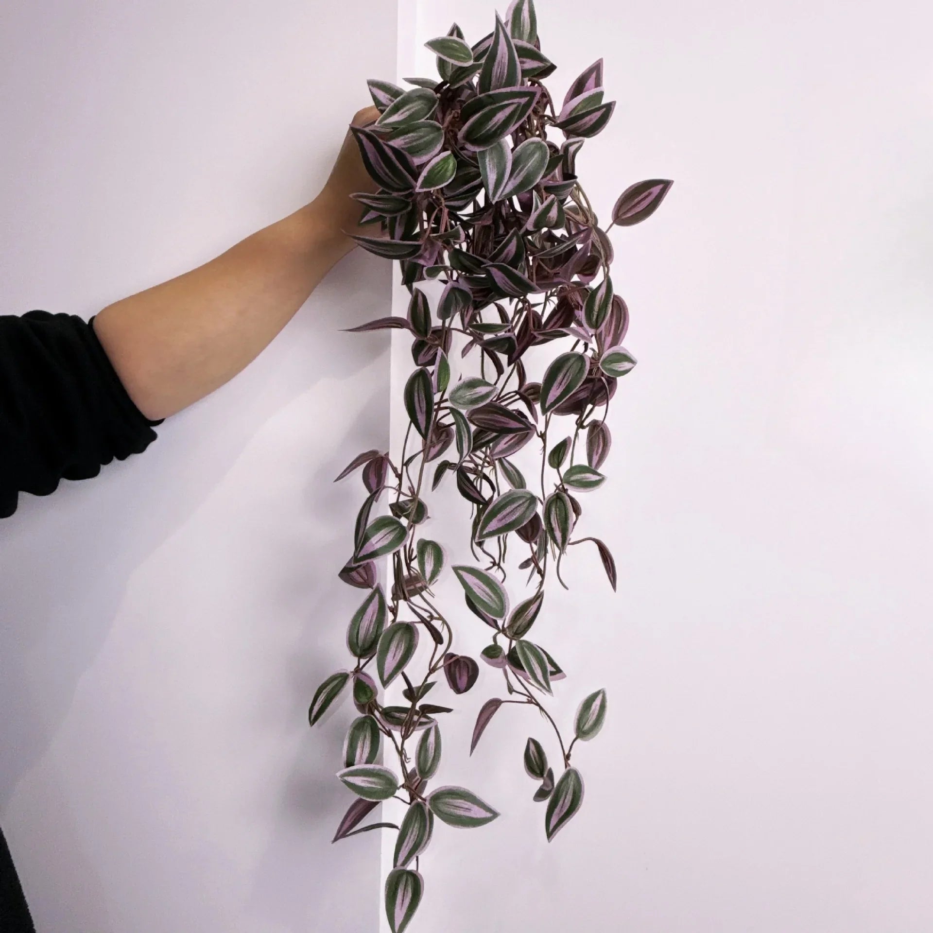 Dlight Decor 75cm Hanging Eucalyptus Vine with Scindapsus Leaves 75cm purple