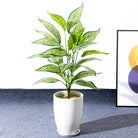 Dlight Decor 76cm Tropical Magnolia Palm Branch with 26 Leaves