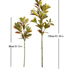 Dlight Decor Codiaeum Ficus Tree for Tropical Indoor Floor Decor 85cm and 120cm