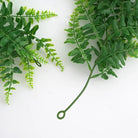 Dlight Decor 175cm Tropical Fern Vine Hanging Plant for Home and Garden Wall Decor