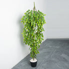 Dlight Decor Hanging Vines for Elegant Wall Display