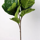 Dlight Decor 113cm Tropical Ficus Tree with Rubber Style Leaves