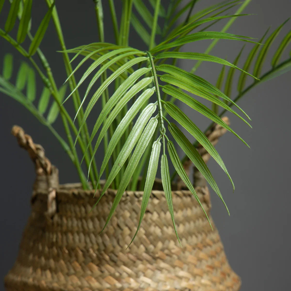 Dlight Decor 88cm Tropical Palm Monstera Plant with 18 Forks for Floor and Event Decor