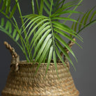 Dlight Decor 88cm Tropical Palm Monstera Plant with 18 Forks for Floor and Event Decor