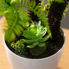 Dlight Decor Potted Palm Plant 33cm or 40cm with Succulents
