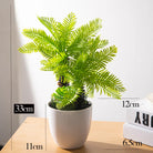 Dlight Decor Potted Palm Plant 33cm or 40cm with Succulents S-33cm with pot