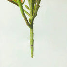 Dlight Decor 41cm Banyan Ficus Palm Branch with Codiaeum Leaves