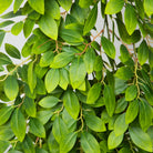 Dlight Decor Hanging Vines for Elegant Wall Display