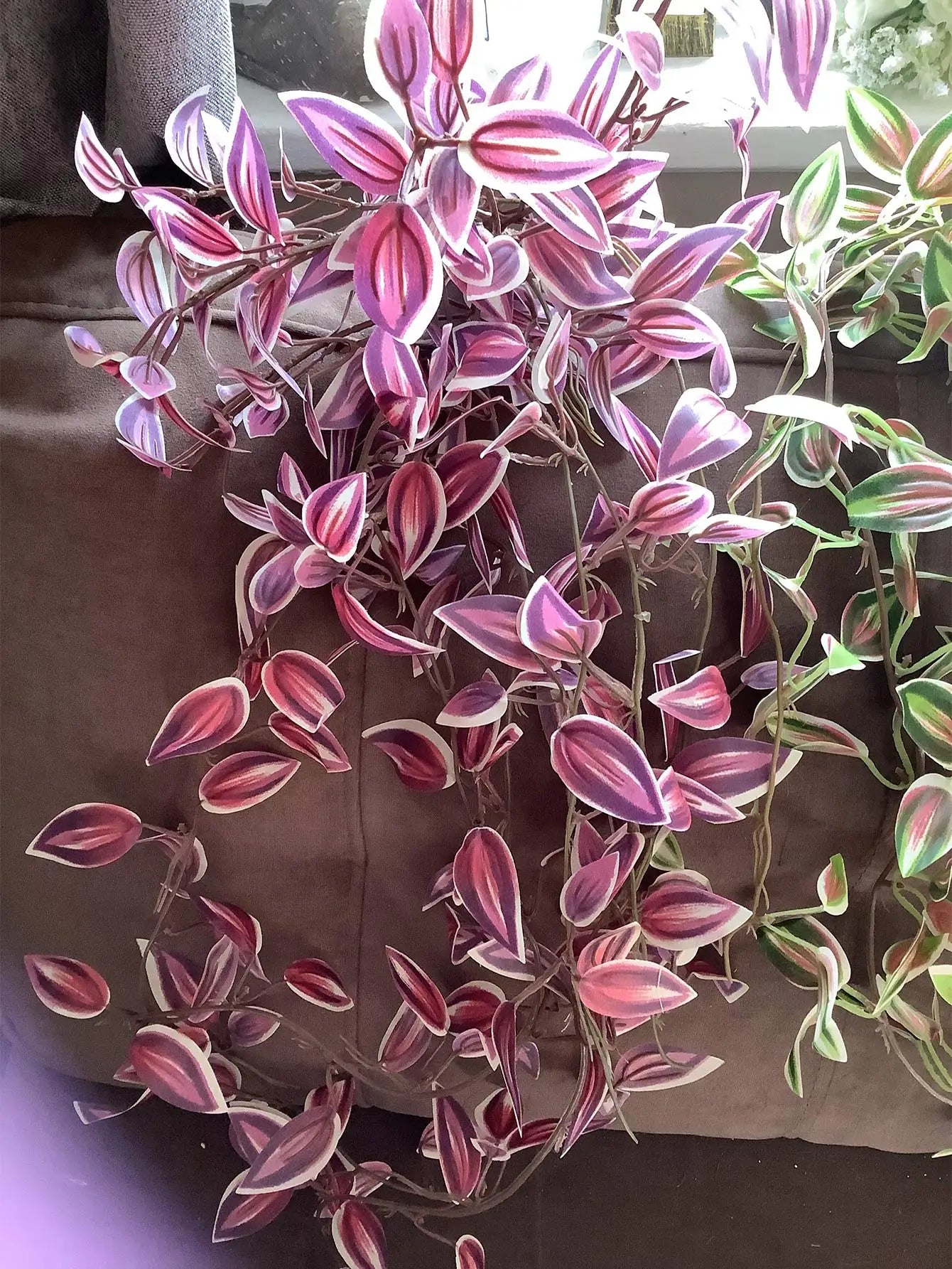 Dlight Decor 75cm Hanging Eucalyptus Vine with Scindapsus Leaves